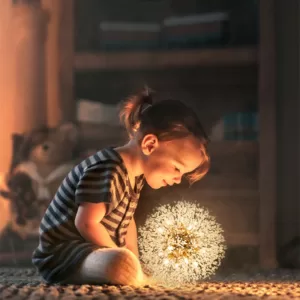 Snowflake Chandelier